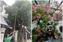 Điều đặc biệt bên trong biệt thự triệu đô của Tuấn Hưng