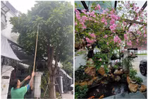 Điều đặc biệt bên trong biệt thự triệu đô của Tuấn Hưng