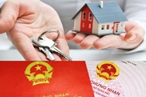 Núp bóng người Việt, người Trung Quốc thâu tóm “đất đẹp” tại Việt Nam