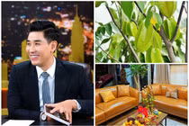 Ngắm hoa trái bên trong căn hộ của MC giàu nhất nhì showbiz Việt