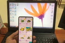 Thương mại điện tử - “cứu cánh” hàng Việt giữa đại dịch COVID-19