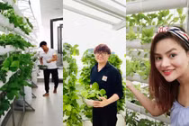 3 vườn rau thuỷ canh độc đáo trên sân thượng nhà sao Việt