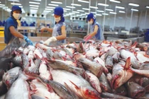 Nghịch lý tiêu chuẩn hải sản vào siêu thị Việt khó hơn xuất châu Âu?
