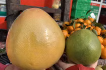 Nhìn trúng điểm này phân biệt ngay bưởi Trung Quốc và bưởi Việt Nam