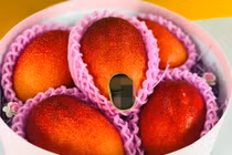 Giữa dịch Covid-19, xoài Nhật gần 2 triệu/quả nhà giàu Việt mạnh tay "chi" tiền