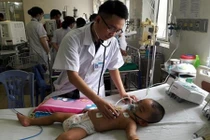 Bị đàn ong nhà vây kín đốt, bé trai 19 tháng tuổi nguy kịch