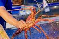 “Dở khóc dở cười” vì mua hải sản online