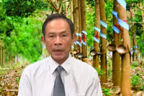 Top 5 tỷ phú chứng khoán Trần Ngọc Thuận điều hành TĐ Cao su Việt Nam lãi lỗ thế nào? 