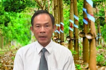 Top 5 tỷ phú chứng khoán Trần Ngọc Thuận điều hành TĐ Cao su Việt Nam lãi lỗ thế nào? 