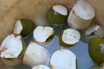 Bán dừa "tắm trắng" coi chừng mang họa 