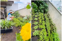 Mãn nhãn vườn rau xanh mướt trong biệt thự 60 tỷ của Đàm Vĩnh Hưng