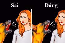 Điều không nên làm nếu gặp một con chó đi lạc, tránh nguy hiểm 