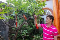 Cận cảnh biệt thự 200 tỷ của ca sĩ Khánh Phương 