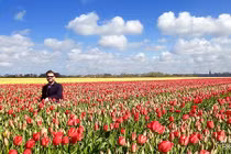 Kinh ngạc những cánh đồng hoa đắt đỏ nhất thế giới