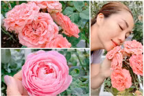 Bên trong biệt thự ngập hoa hồng của MC Ốc Thanh Vân