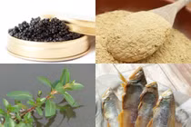 4 thứ xưa cho lợn ăn thành đặc sản “tranh nhau mua“