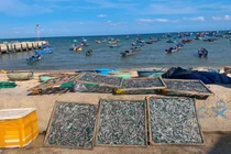 ‘Làng chạy gió’ ven biển có gì hút khách du lịch? 