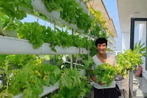 Khám phá biệt thự 2 triệu USD của Lý Hải toàn đồ gỗ sang trọng