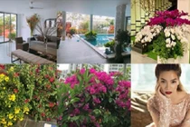 Biệt thự ngập tràn hoa lá của gia đình Hồ Ngọc Hà