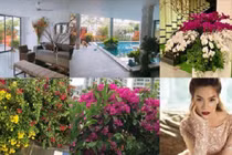 Biệt thự ngập tràn hoa lá của gia đình Hồ Ngọc Hà