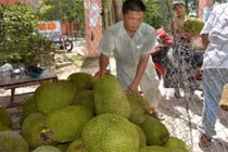  Thương lái Trung Quốc đang lùng mua gì ở Việt Nam?