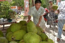  Thương lái Trung Quốc đang lùng mua gì ở Việt Nam?