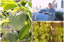 Bên trong ngôi nhà lắp ghép 100 m2 tại Mỹ của Chế Phong 