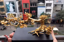 Mê mẩn ngắm hoa đúc vàng siêu đắt đỏ phục vụ đại gia Việt