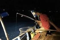 Lênh đênh trên biển, thuyền câu mực kiếm tiền triệu mỗi đêm 