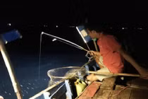 Lênh đênh trên biển, thuyền câu mực kiếm tiền triệu mỗi đêm 