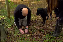 Hành trình săn lùng “kim cương đen” đắt đỏ nhất thế giới