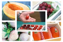 Choáng ngợp mức giá siêu đắt của 7 loại trái cây cao cấp Nhật Bản