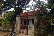 Can ngăn mâu thuẫn trong đám mãn tang, cô bị cháu ruột đâm tử vong