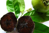 Mục sở thị hồng đen Nhật Bản giá gần 200.000 đồng/quả