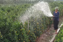 Những làng nghề hối hả ngày giáp Tết Nguyên đán