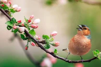 Tháng 1/2024, 4 con giáp được quý nhân giúp đỡ 