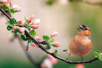 Tháng 1/2024, 4 con giáp được quý nhân giúp đỡ 