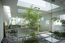 Khó tin nhà ống 42m2 có sân vườn giữa nhà xanh mướt