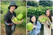 Mãn nhãn khu vườn trồng rau nuôi gà của Lý Hải - Minh Hà ở ngoại ô