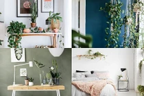 Mải mê ngắm nhìn dàn cây xanh mướt trong nhà nhỏ 