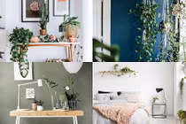 Mải mê ngắm nhìn dàn cây xanh mướt trong nhà nhỏ 