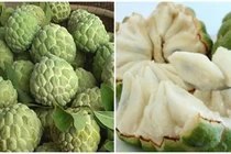 Phân biệt na dai - na bở chỉ cần nhìn đúng 1 điểm, đừng để người bán qua mặt