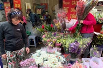 Chuyện chưa từng có, giá hoa giảm mạnh ngày 8/3