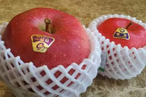 Choáng váng 10 "siêu quả" đắt đỏ nhất thế giới