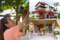 Biệt thự 200 tỷ của Hoa hậu Phương Lê và chồng đại gia trước ly hôn