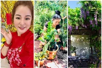 Choáng ngợp biệt thự có tới 3 khu vườn tại Mỹ của Thúy Nga