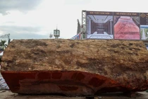 Giật mình những khúc gỗ cổ thụ giá "mua được cả biệt thự"