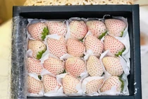 Dâu tây Bạch Tuyết Đà Lạt siêu "hot", chưa lên kệ đã hết hàng