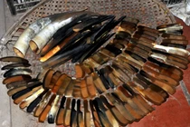 Độc đáo sản phẩm của làng làm sừng mỹ nghệ hút khách