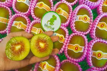 Tận mục kiwi cầu vồng 200.000 đồng/quả gây sốt thị trường Tết 2018